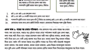 ষান্মাসিক সামষ্টিক মূল্যায়ন ৬ষ্ঠ শ্রেণীর গণিত প্রশ্ন ও সমাধান ২০২৪