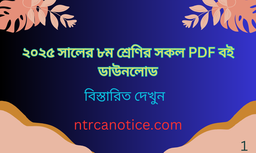 ২০২৫-সালের-৮ম-শ্রেণির-সকল-PDF-বই-ডাউনলোড