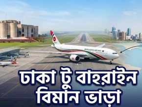 ঢাকা টু বাহরাইন বিমান