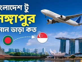 বাংলাদেশ টু সিঙ্গাপুর বিমান ভাড়া কত
