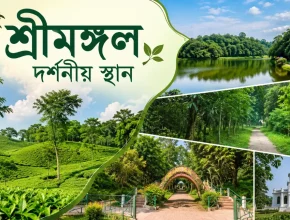শ্রীমঙ্গল দর্শনীয় স্থান